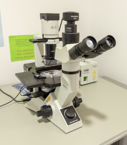 Microscopio invertido Olympus 