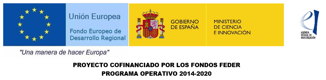 FEDER MINISTERIO 2019